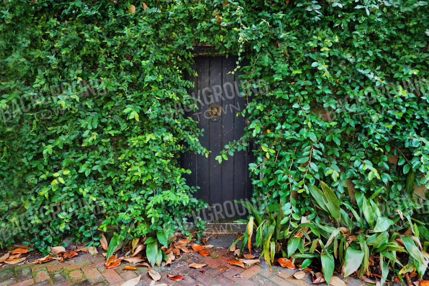 Hidden Door 8’X5’ Ultracloth (96 X 60 Inch) Backdrop