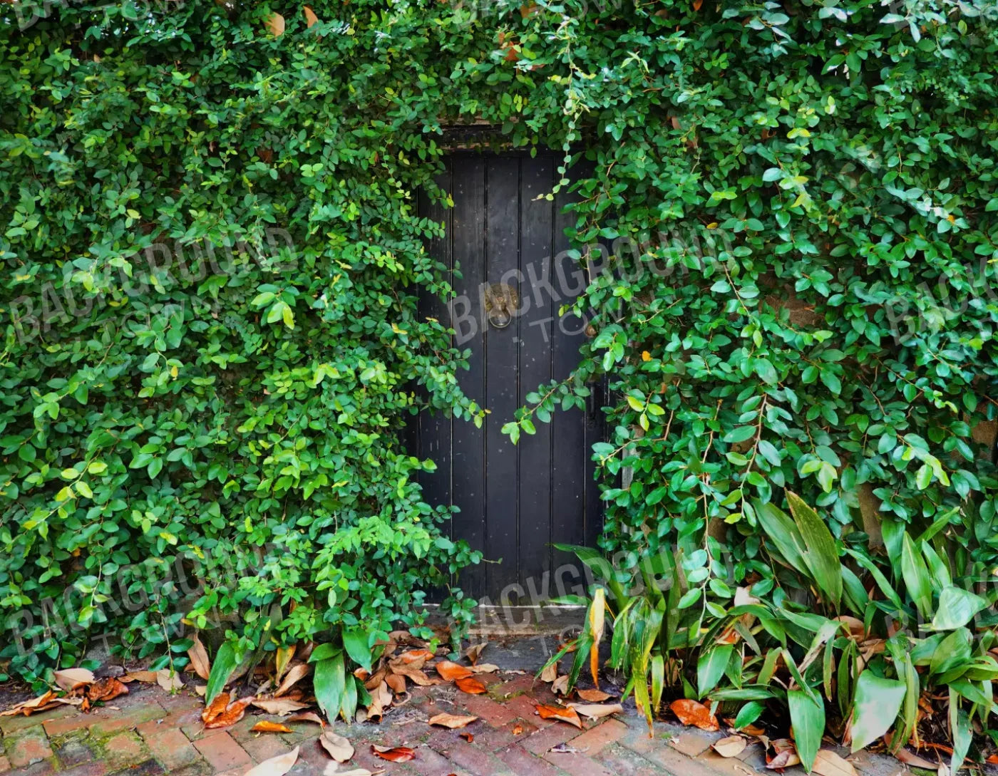 Hidden Door 8’X6’ Fleece (96 X 72 Inch) Backdrop