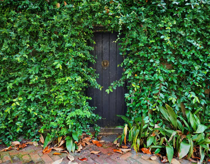 Hidden Door 8’X6’ Fleece (96 X 72 Inch) Backdrop