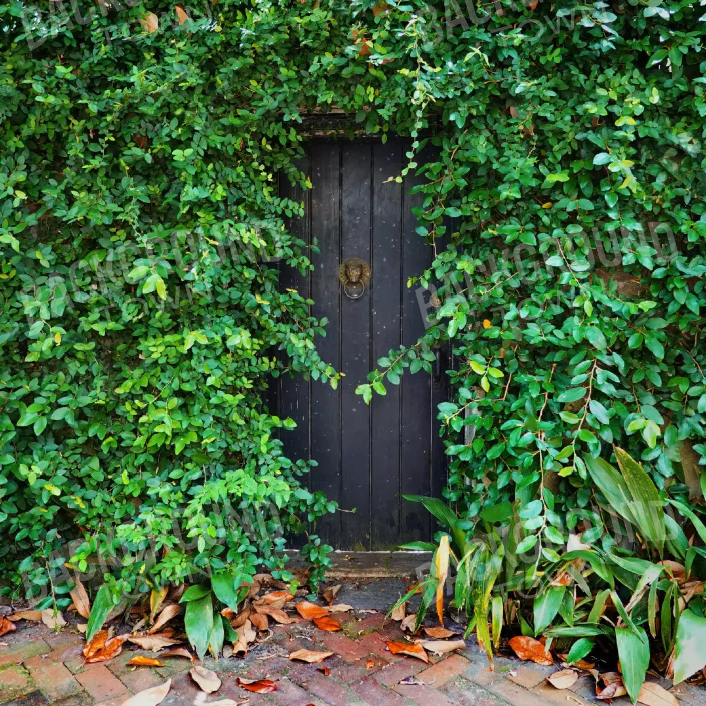 Hidden Door 8’X8’ Fleece (96 X Inch) Backdrop