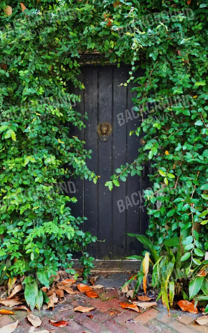 Hidden Door 9’X14’ Ultracloth (108 X 168 Inch) Backdrop