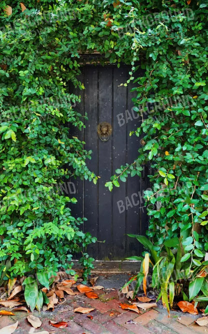 Hidden Door 9’X14’ Ultracloth (108 X 168 Inch) Backdrop