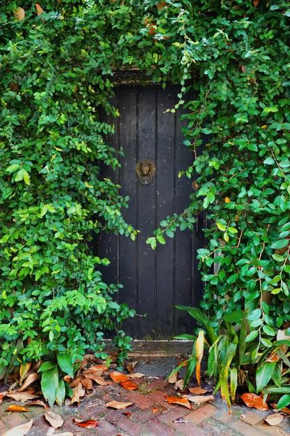 Hidden Door Backdrop