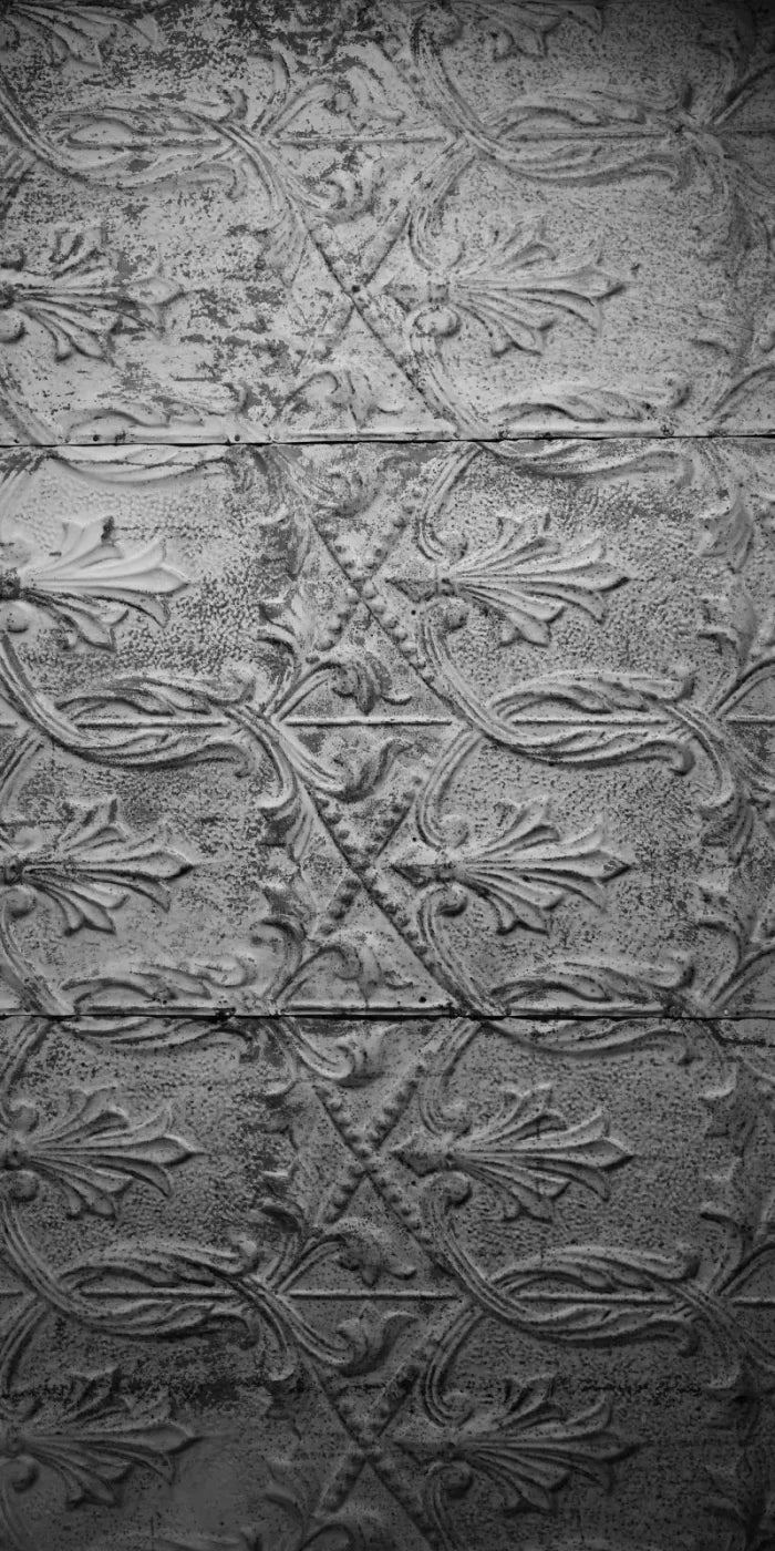Historic 10X20 Ultracloth ( 120 X 240 Inch ) Backdrop