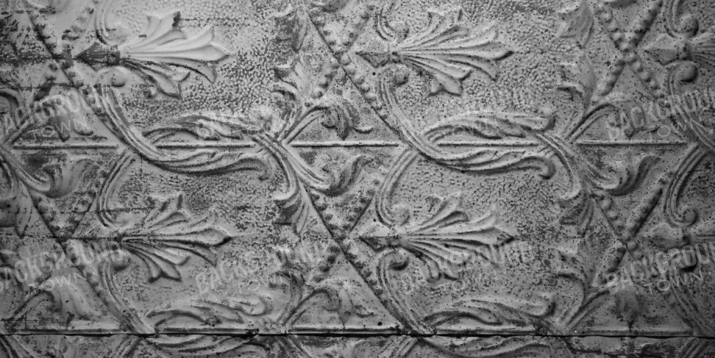 Historic 20X10 Ultracloth ( 240 X 120 Inch ) Backdrop