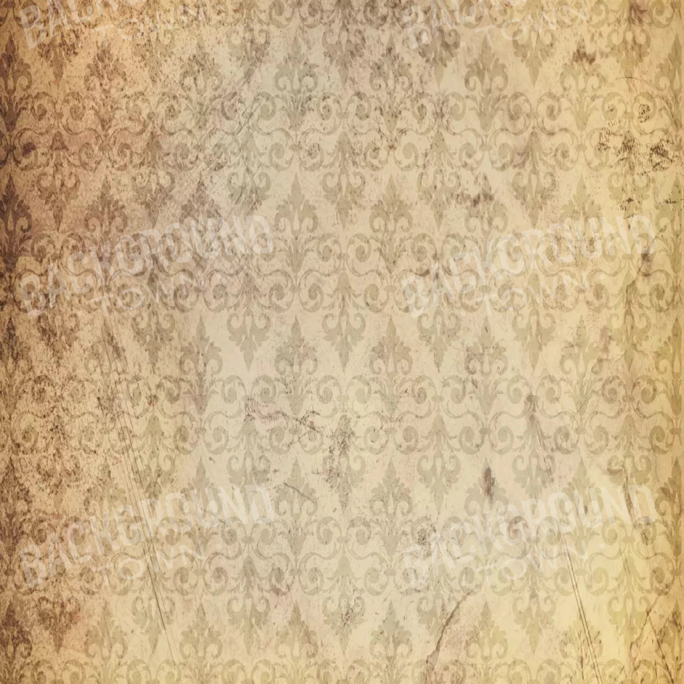 History 10X10 Ultracloth ( 120 X Inch ) Backdrop