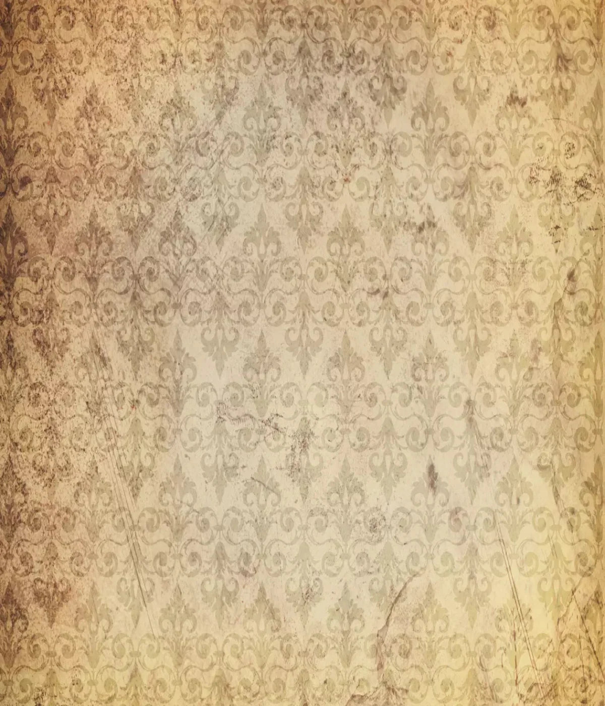 History 10X12 Ultracloth ( 120 X 144 Inch ) Backdrop