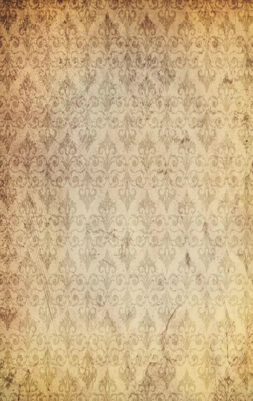 History 10X16 Ultracloth ( 120 X 192 Inch ) Backdrop