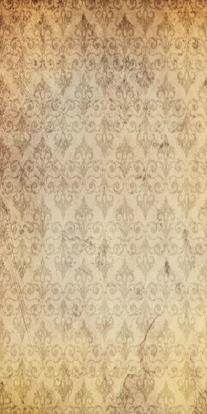 History 10X20 Ultracloth ( 120 X 240 Inch ) Backdrop