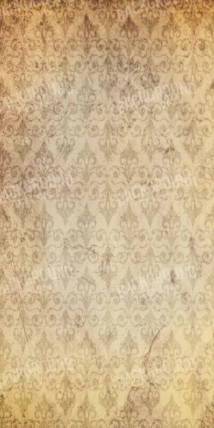 History 10X20 Ultracloth ( 120 X 240 Inch ) Backdrop