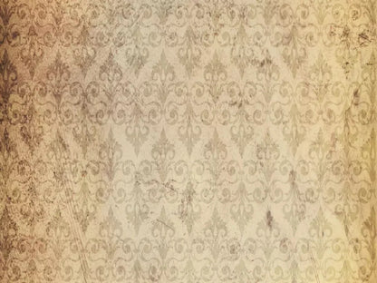 History 10X8 Fleece ( 120 X 96 Inch ) Backdrop