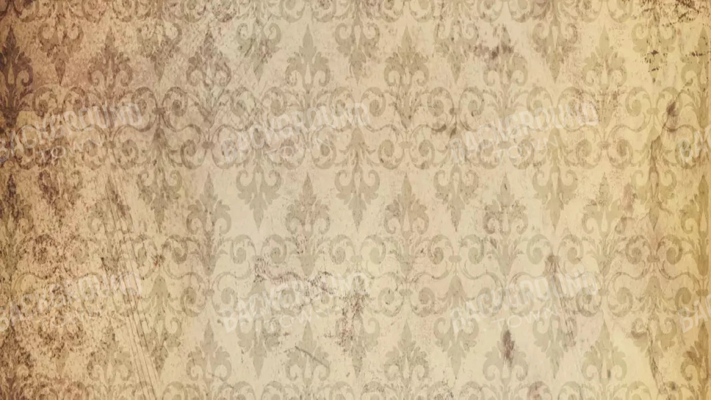 History 14X8 Ultracloth ( 168 X 96 Inch ) Backdrop