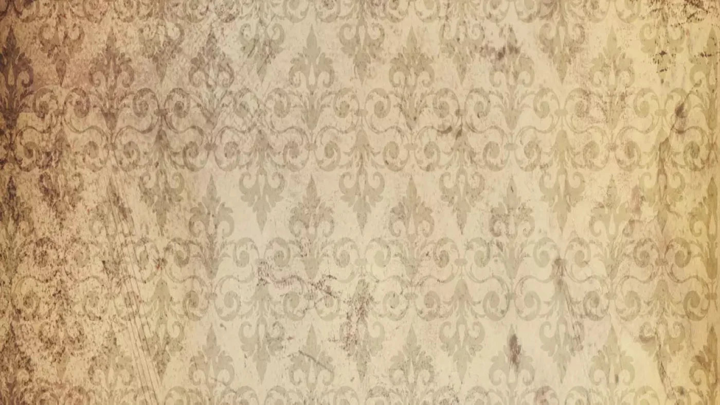History 14X8 Ultracloth ( 168 X 96 Inch ) Backdrop