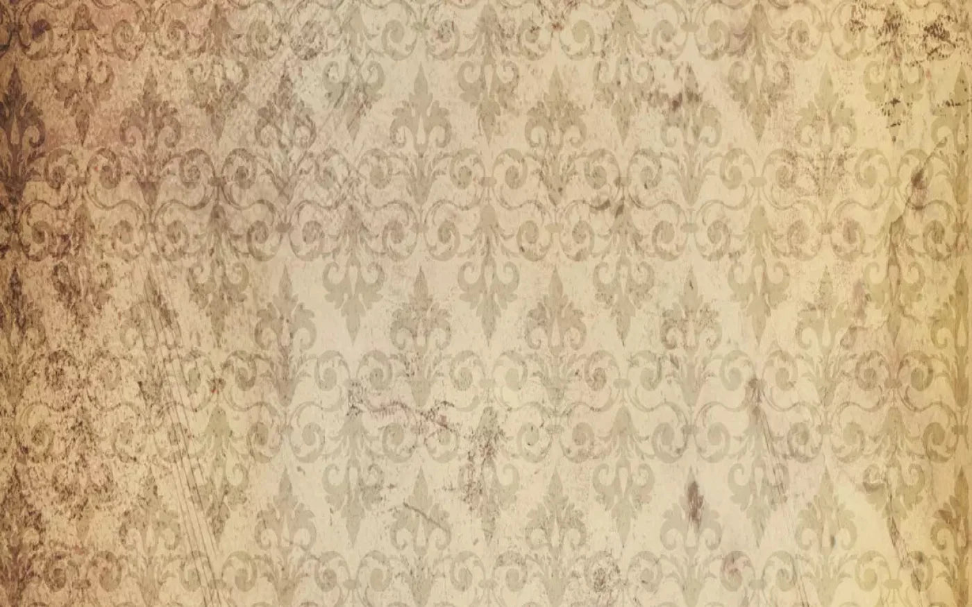 History 14X9 Ultracloth ( 168 X 108 Inch ) Backdrop