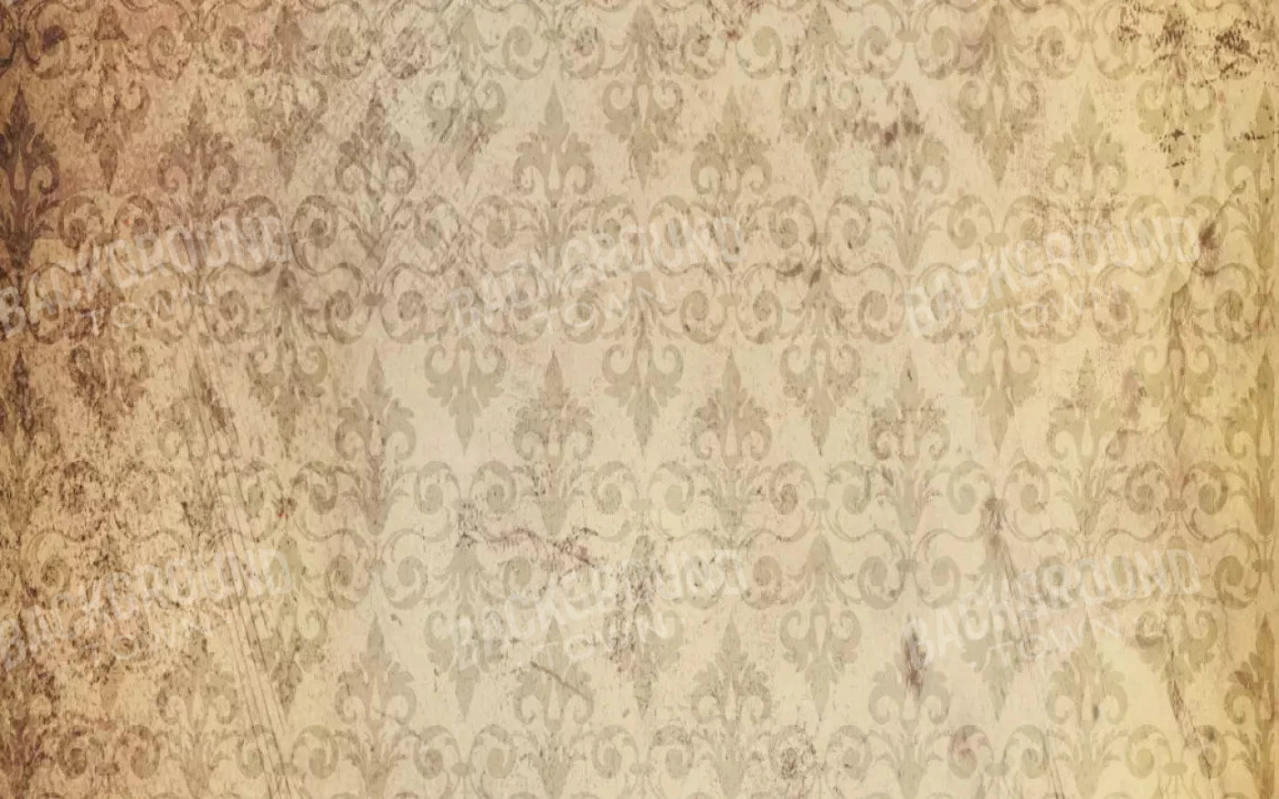 History 14X9 Ultracloth ( 168 X 108 Inch ) Backdrop