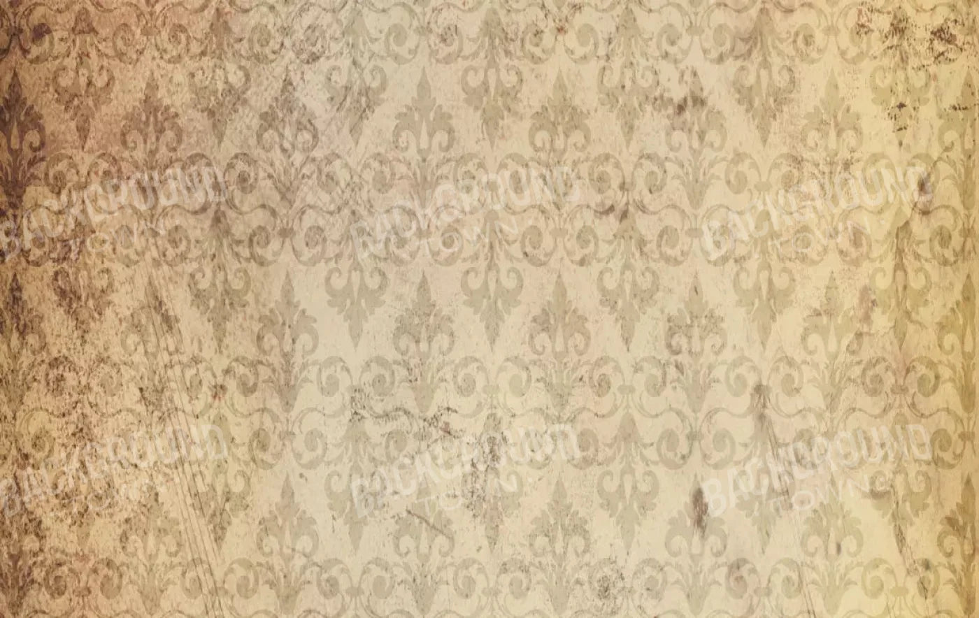 History 16X10 Ultracloth ( 192 X 120 Inch ) Backdrop