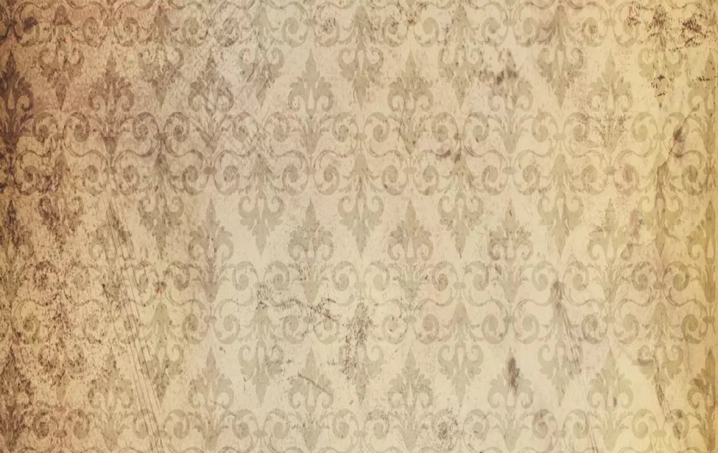 History 16X10 Ultracloth ( 192 X 120 Inch ) Backdrop