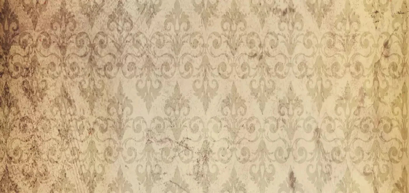 History 16X8 Ultracloth ( 192 X 96 Inch ) Backdrop
