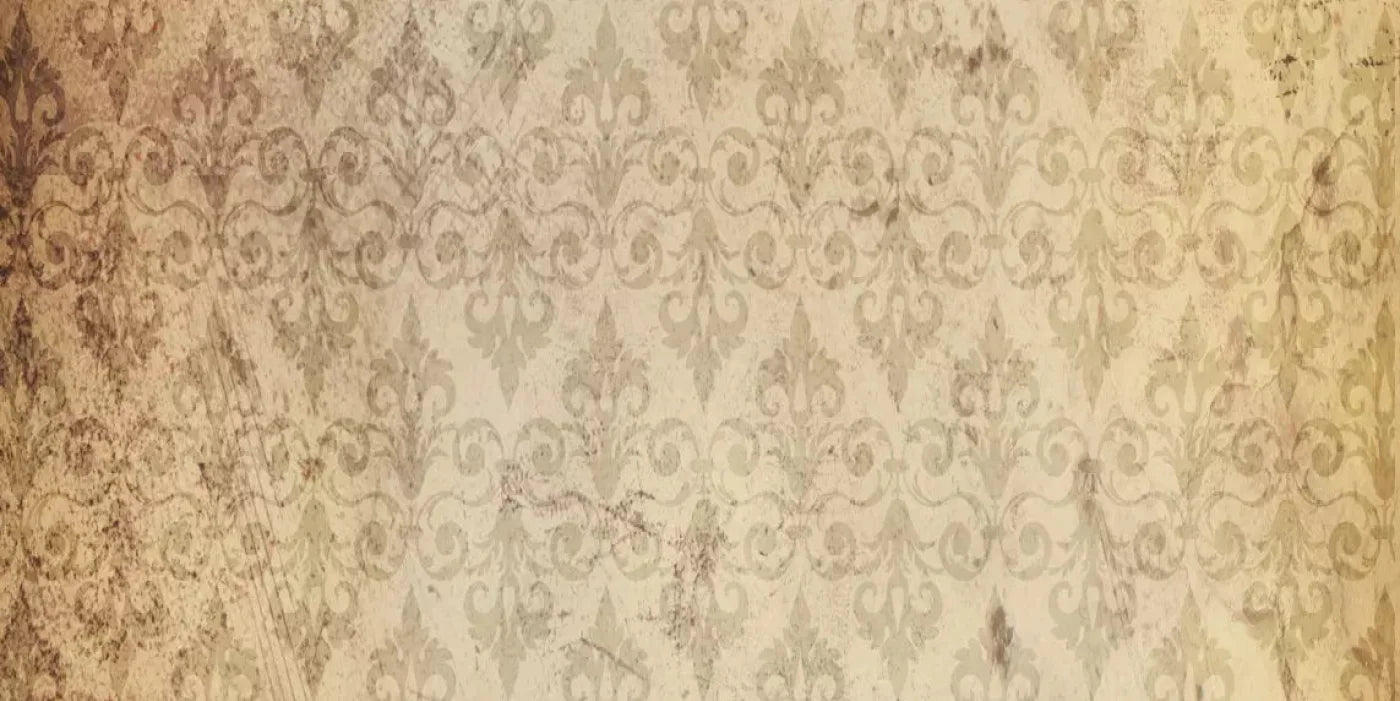 History 20X10 Ultracloth ( 240 X 120 Inch ) Backdrop