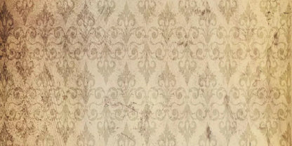 History 20X10 Ultracloth ( 240 X 120 Inch ) Backdrop