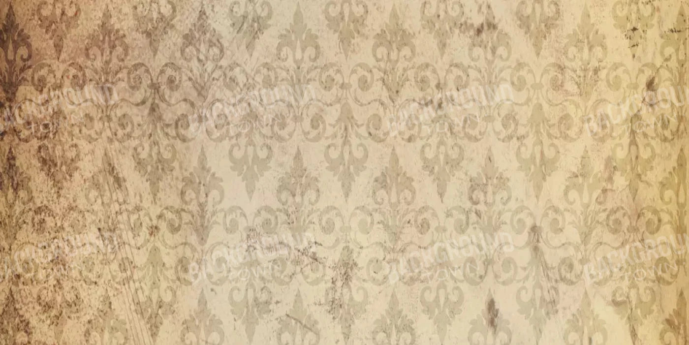 History 20X10 Ultracloth ( 240 X 120 Inch ) Backdrop