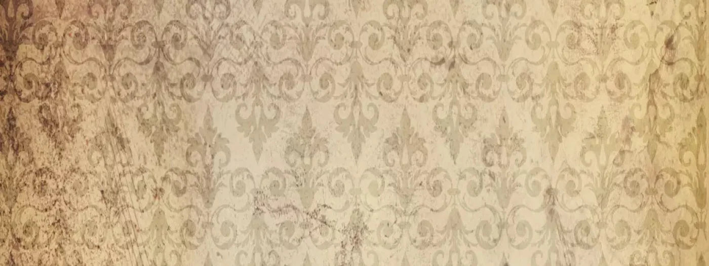 History 20X8 Ultracloth ( 240 X 96 Inch ) Backdrop