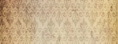 History 20X8 Ultracloth ( 240 X 96 Inch ) Backdrop