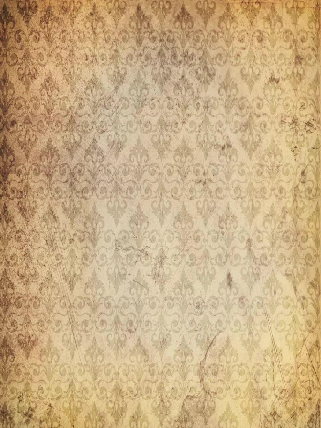 History 5X7 Ultracloth ( 60 X 84 Inch ) Backdrop