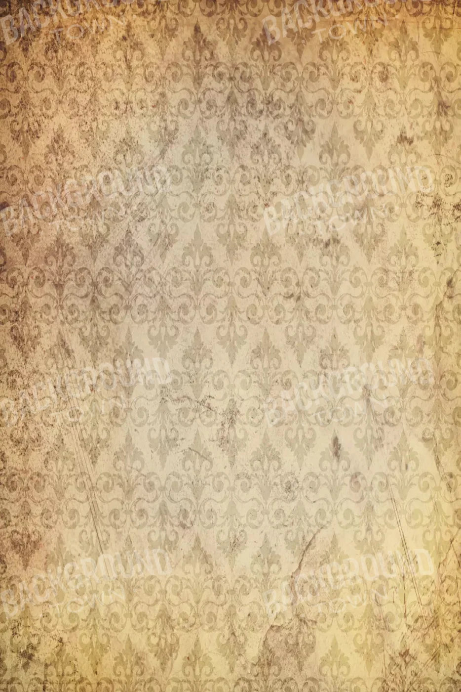 History 5X8 Ultracloth ( 60 X 96 Inch ) Backdrop