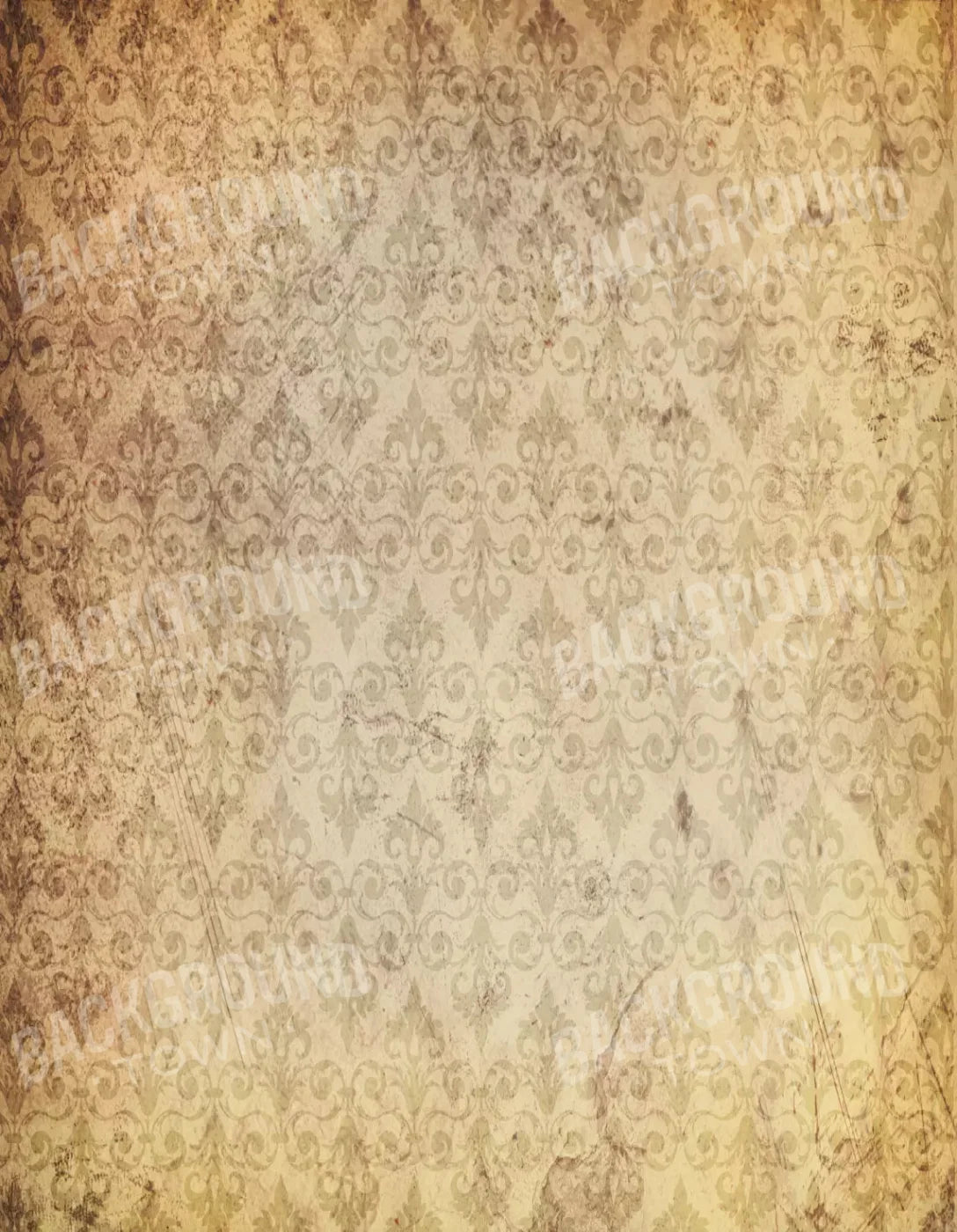 History 6X8 Fleece ( 72 X 96 Inch ) Backdrop