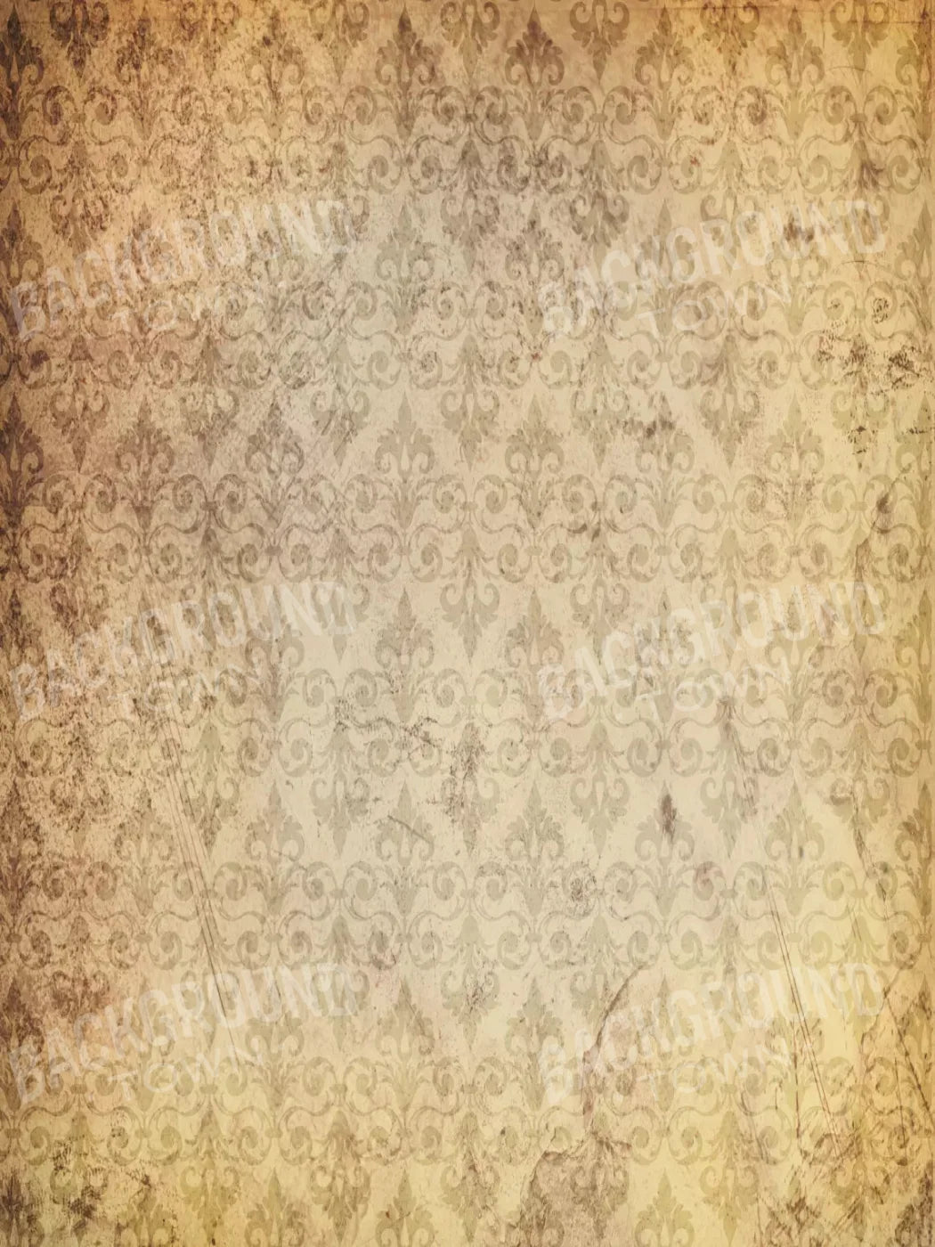 History 8X10 Fleece ( 96 X 120 Inch ) Backdrop