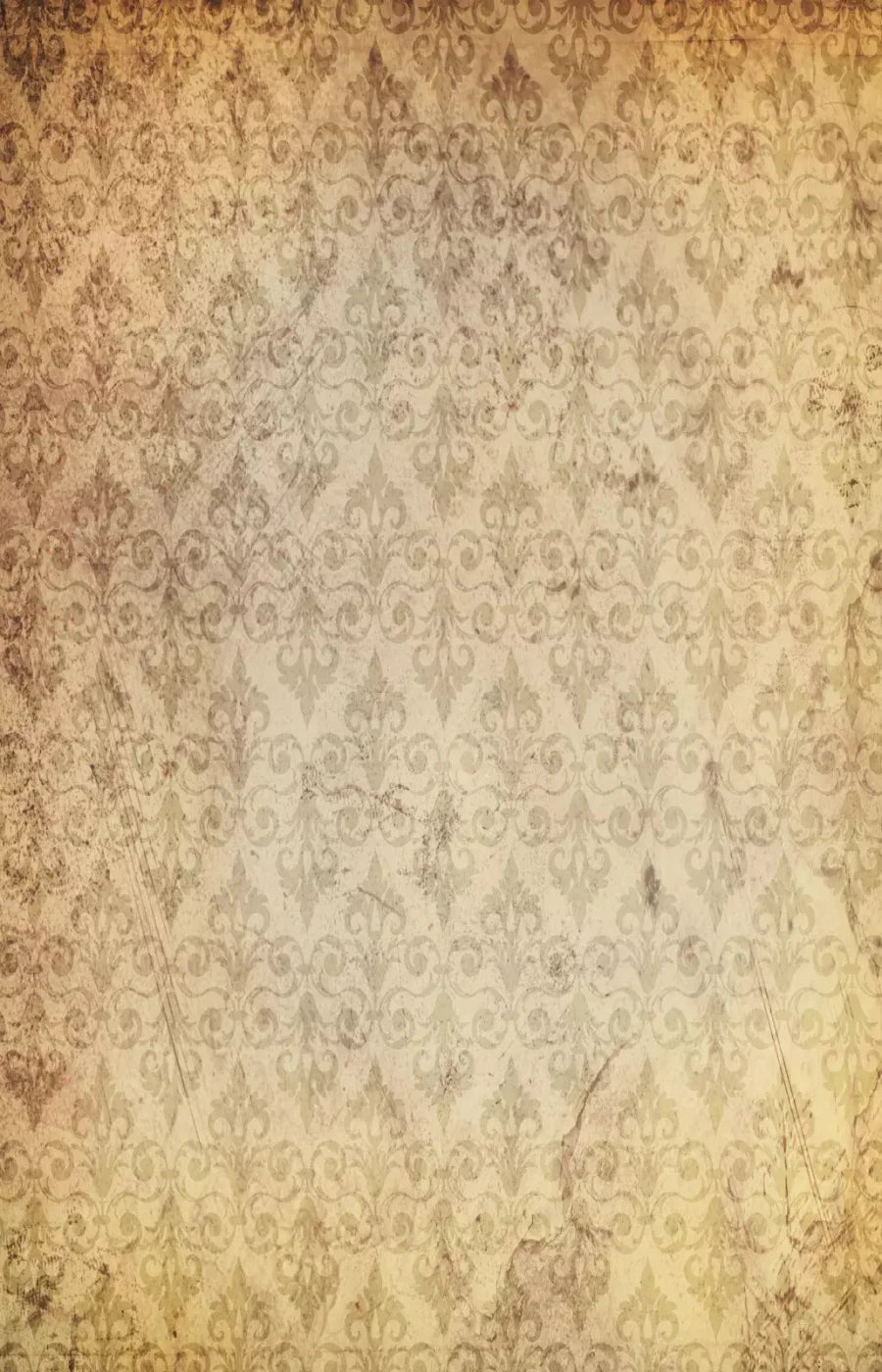 History 8X12 Ultracloth ( 96 X 144 Inch ) Backdrop