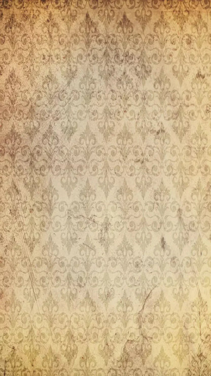 History 8X14 Ultracloth ( 96 X 168 Inch ) Backdrop