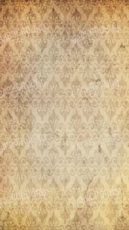 History 8X14 Ultracloth ( 96 X 168 Inch ) Backdrop