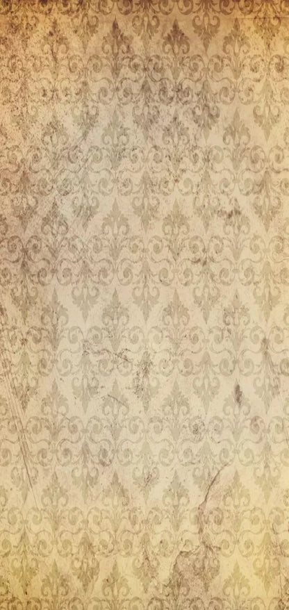 History 8X16 Ultracloth ( 96 X 192 Inch ) Backdrop