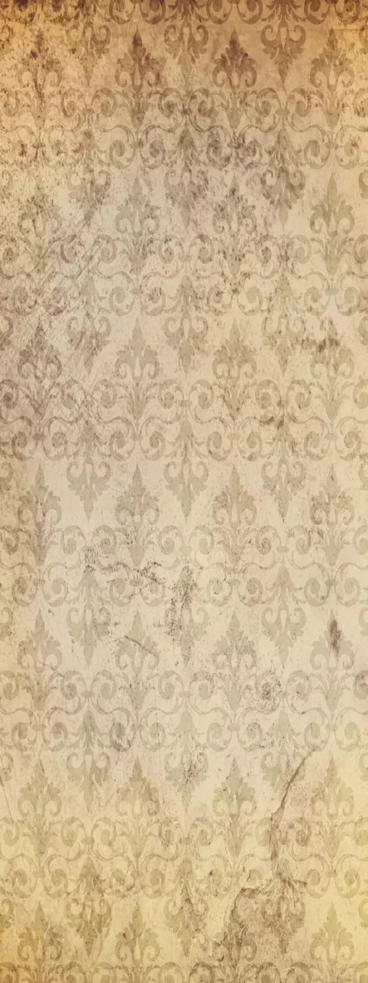 History 8X20 Ultracloth ( 96 X 240 Inch ) Backdrop