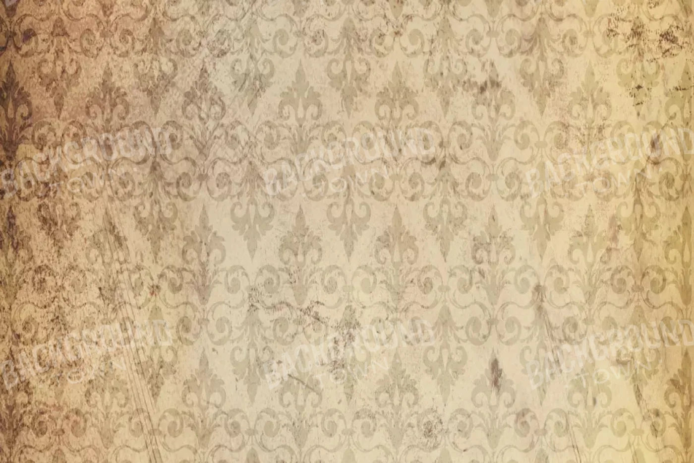 History 8X5 Ultracloth ( 96 X 60 Inch ) Backdrop