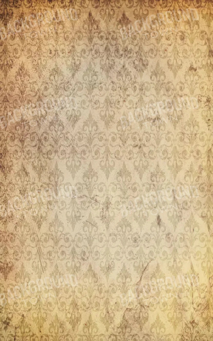 History 9X14 Ultracloth ( 108 X 168 Inch ) Backdrop