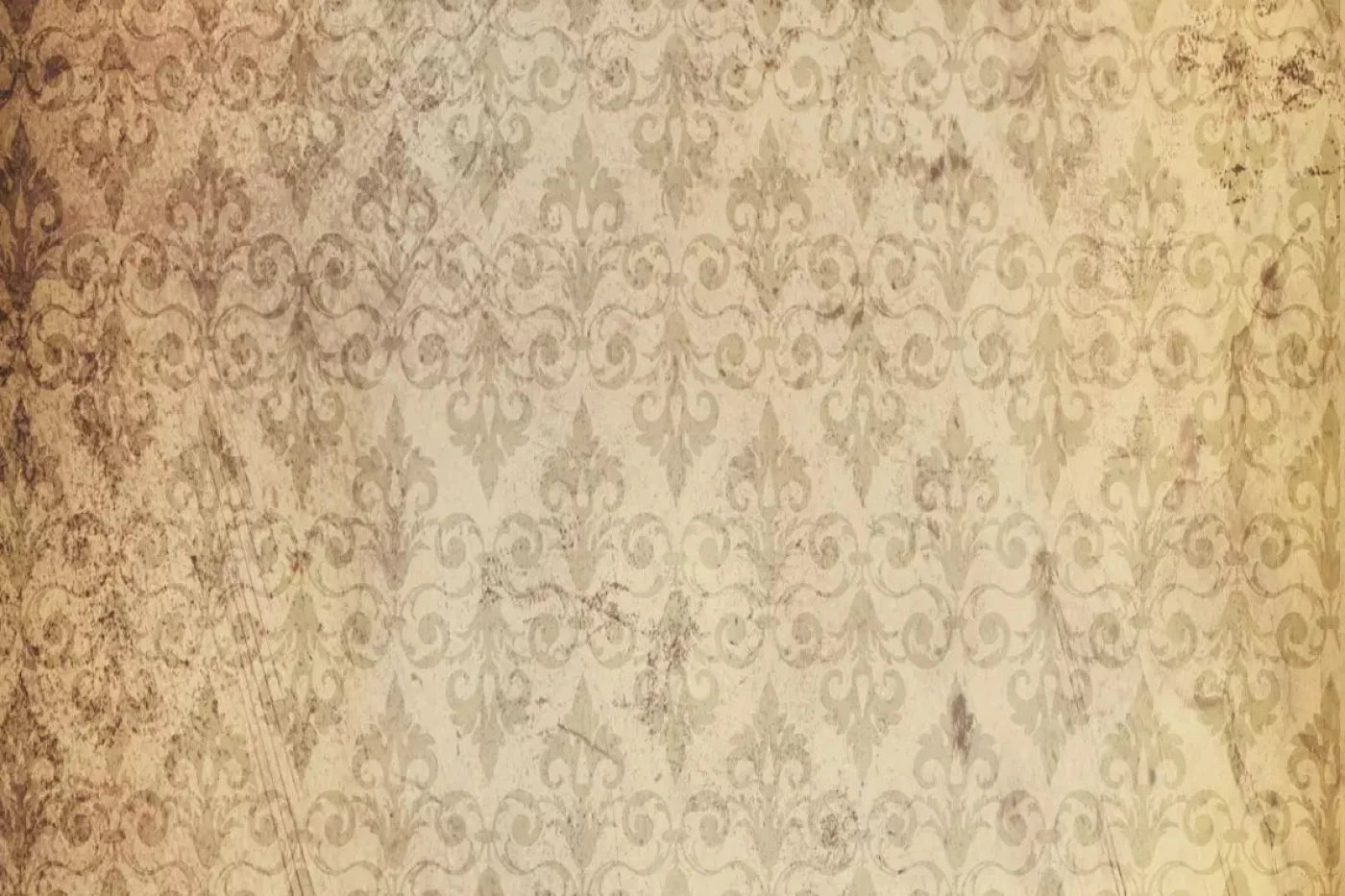 History Backdrop