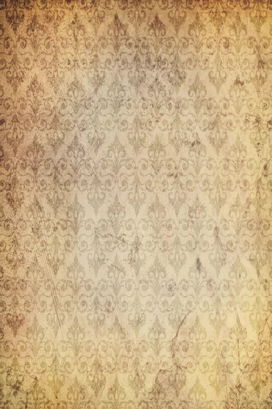 History Backdrop