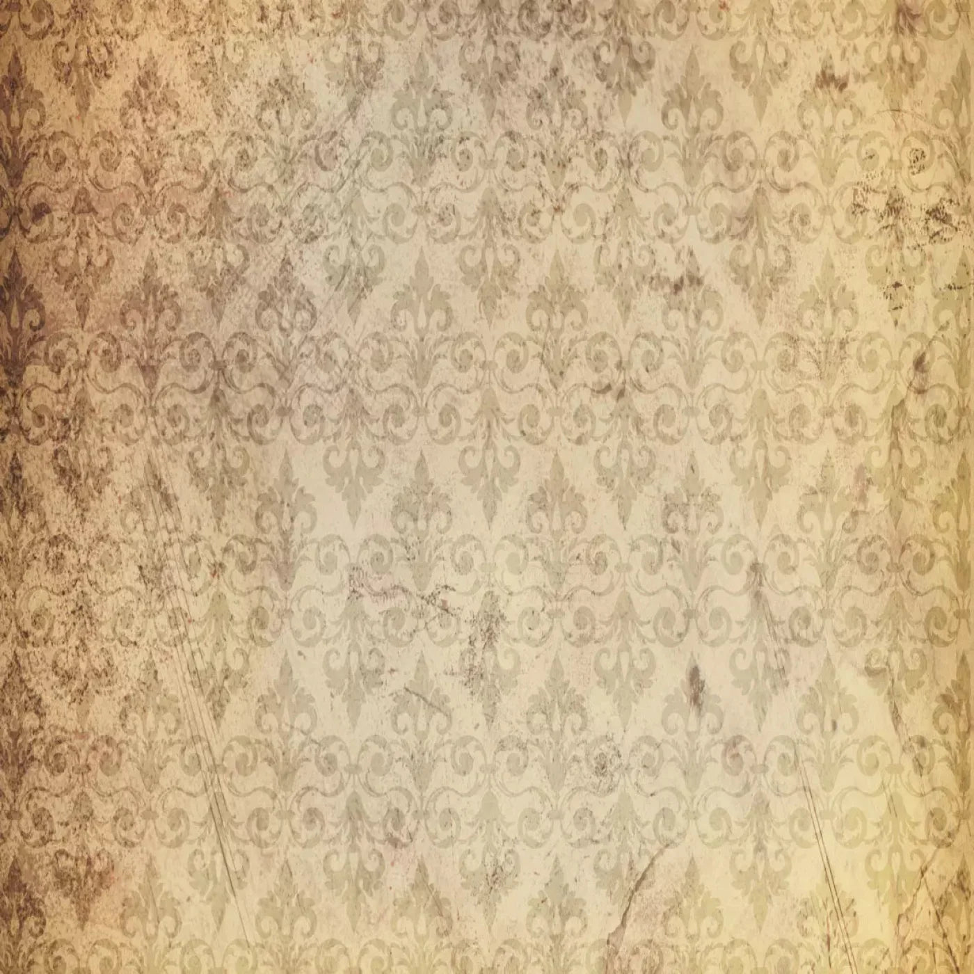 History Backdrop