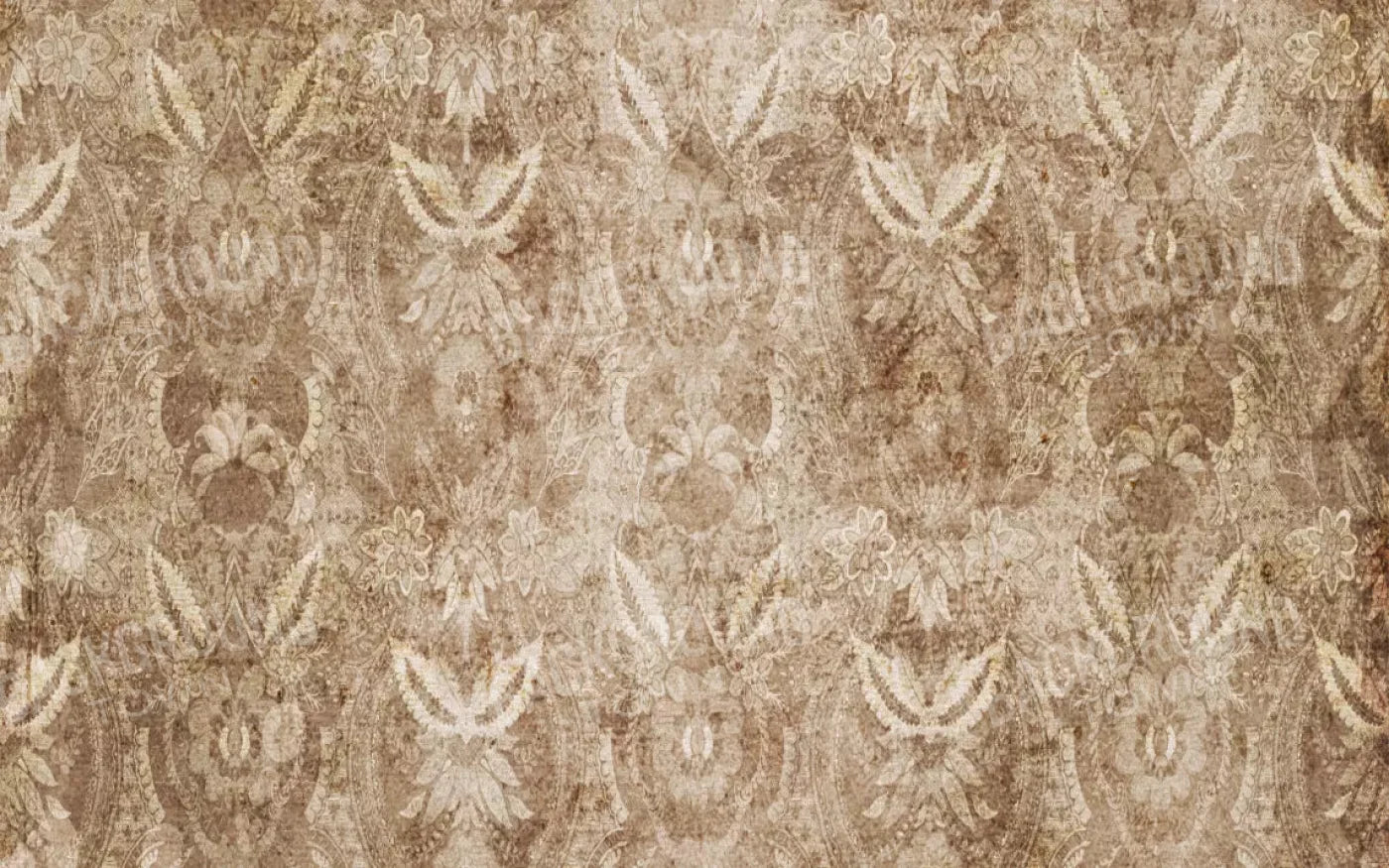 Hoot 14X9 Ultracloth ( 168 X 108 Inch ) Backdrop