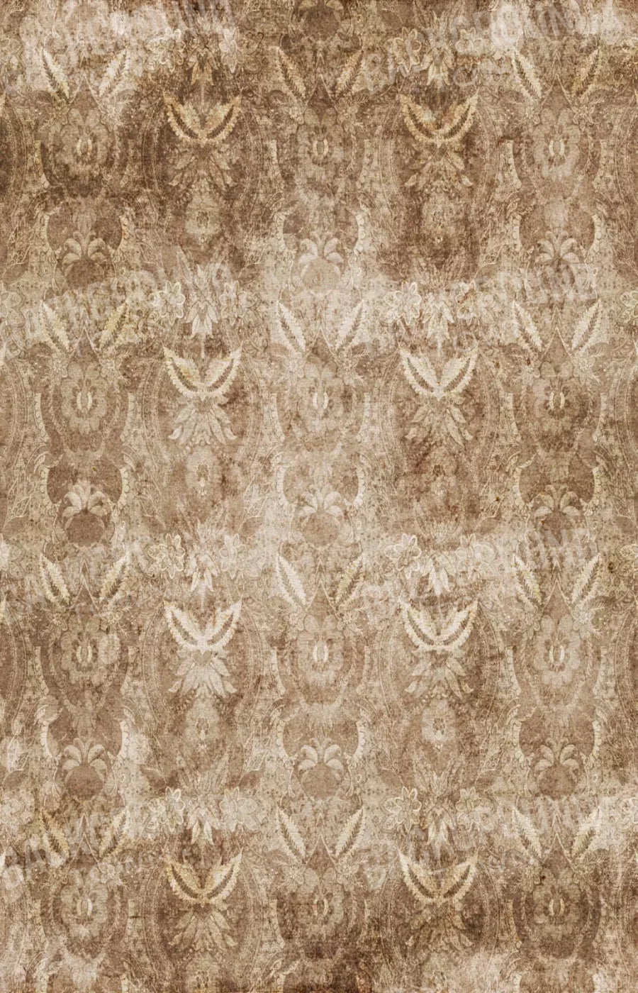 Hoot 8X12 Ultracloth ( 96 X 144 Inch ) Backdrop