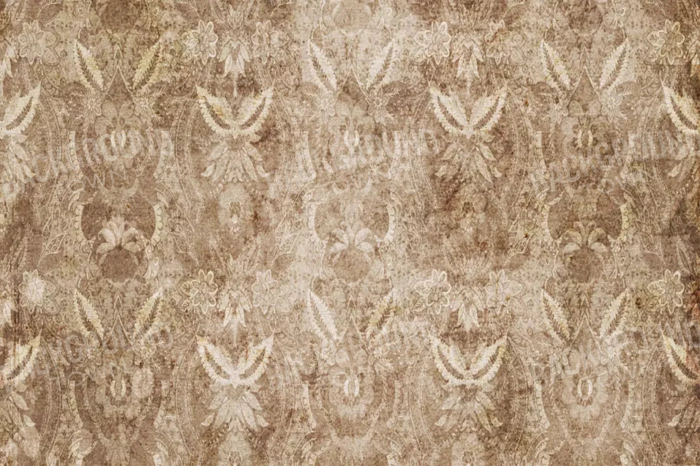 Hoot 8X5 Ultracloth ( 96 X 60 Inch ) Backdrop