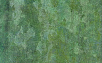 Hugo 14’X9’ Ultracloth (168 X 108 Inch) Backdrop