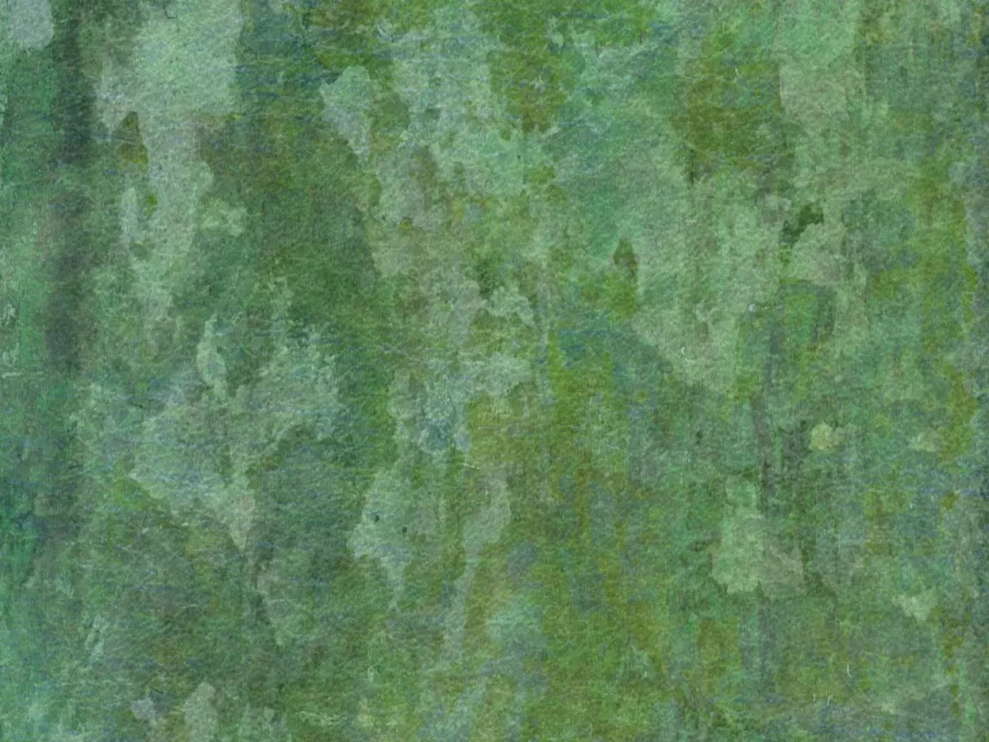 Hugo 6’8’X5’ Fleece (80 X 60 Inch) Backdrop
