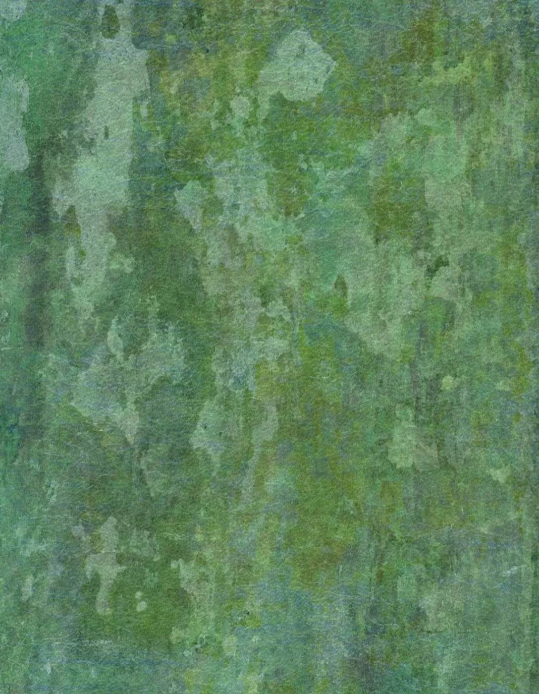 Hugo 6’X8’ Fleece (72 X 96 Inch) Backdrop