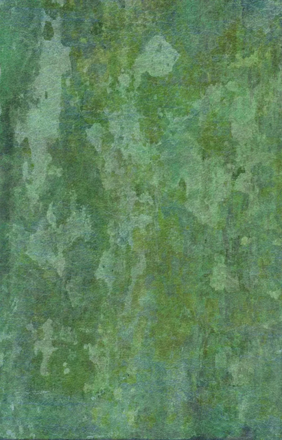 Hugo 8’X12’ Ultracloth (96 X 144 Inch) Backdrop