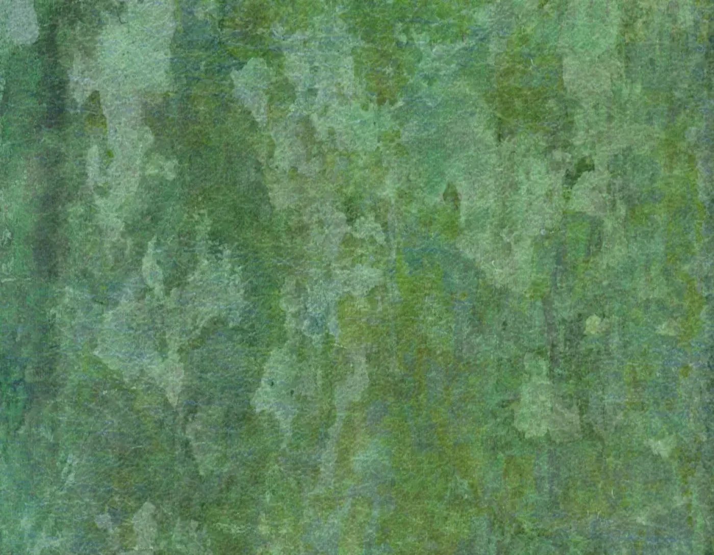 Hugo 8’X6’ Fleece (96 X 72 Inch) Backdrop