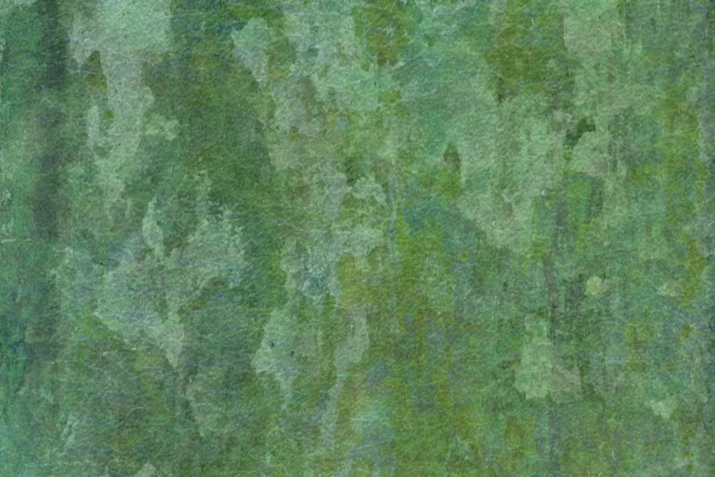 Hugo Backdrop
